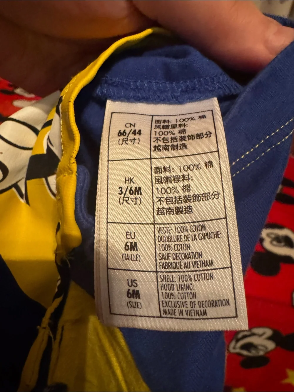 Disney bright hooded